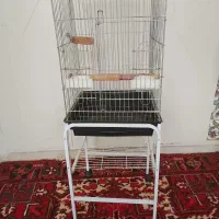 قفس کاسکو