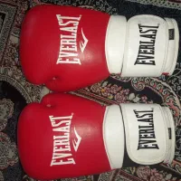 دستکش بوکس و موی تای