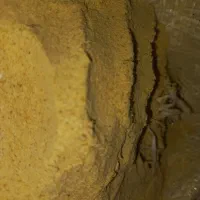سبوس برنج اوج نرم