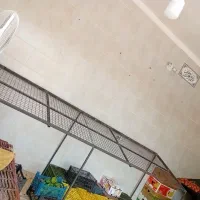 دوعدد تخت میوه فروشی|فروشگاه و مغازه|لوشان, |دیوار