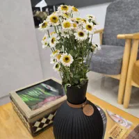منشی مطب زیبایی و لیزر