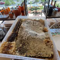 عسل درمانی ۱۰۰٪ طبیعی و ارگانیک|خوردنی و آشامیدنی|سهند, |دیوار