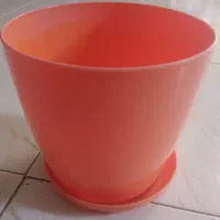 یک عددگلدان