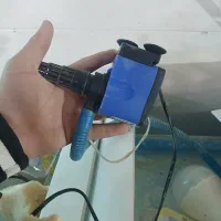 آکواریوم|ماهی|ملایر, |دیوار