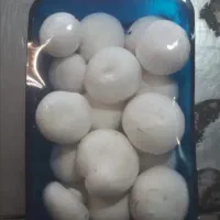 قارچ درجه1به شرط