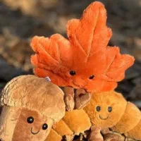 چارم بگ‌ آویز کیف پینترستی