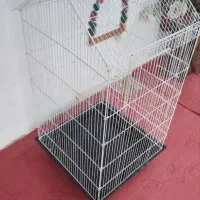 قفس|لوازم جانبی حیوانات|صومعهسرا, |دیوار