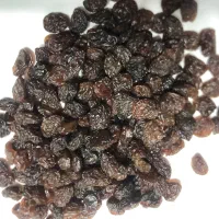 فروش انواع کشمش با بهترین کیفیت