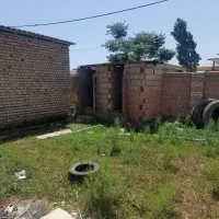 سالن مرغ تخمی و گوشتی با تجهیزات کامل کارشناسی|اجارهٔ دفتر صنعتی، کشاورزی، تجاری|آق قلا, |دیوار