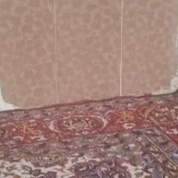 اجاره سوییت