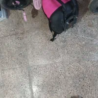 دوچرخه بچه گانه|اسباببازی بچه|شیروان (خراسان), |دیوار