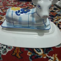 ظروف پذیرایی