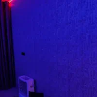 کندن و نصب کاغذدیواری با بهترین چسب