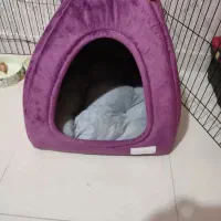 جای خواب سگ و گربه نوچندروزاستفاده فقط استفاده شده