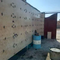 استا کاشی سرامیک کار و دیوار چین|خدمات پیشه و مهارت|سیرجان, |دیوار