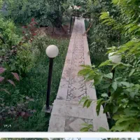 خواهان بار گوسفندی