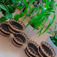 سبد های جای سبزی