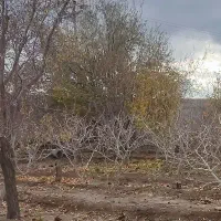 باغ ویلای ۴ دیواری با مجوز رسمی(داخل طرح هادی)