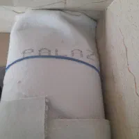 پالازموکت