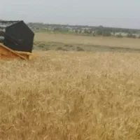 اجاره ۳ هکتار|اجارهٔ دفتر صنعتی، کشاورزی، تجاری|کمیجان, |دیوار