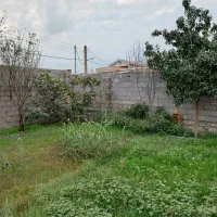 زمین مسکونی|فروش زمین و ملک کلنگی|کیاشهر, |دیوار