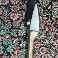 سوزنی|کوهنوردی و کمپینگ|شیراز, تندگویان|دیوار