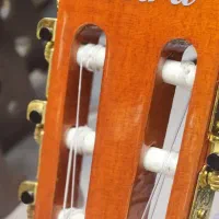 گیتار Petra|گیتار، بیس، امپلیفایر|پردیس, فاز ۲|دیوار