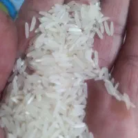 برنج فجر سوزنی