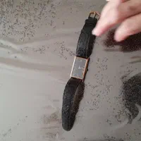 ساعت مچی قدیمی|ساعت|ارم, |دیوار