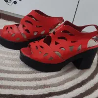 کیف و کفش|کیف، کفش، کمربند|قم, زنبیل آباد|دیوار