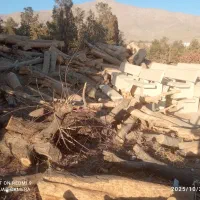 بزرگترین مرکز خرید و فروش  درخت و هرس|خدمات باغبانی و درختکاری|اسلام‌شهر, زرافشان|دیوار