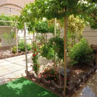 تک واحدی لب بلوارمسرورنزدیک چهارراه|اجارهٔ آپارتمان|شاهین‌شهر, شهرک میلاد|دیوار