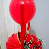 باکس کریر نوزادی