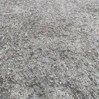 جو گندم آبی ایرانی