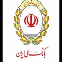 خواهان وام فوری مبلغ بالا هستم