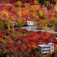 باغ-وزمین-کشاورزی