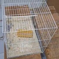 تخت نیمکت فرش وموکت|تخت و صندلی بچه|مشهد, ابوذر|دیوار