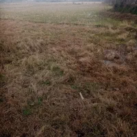 شالیزار-مکانیزه