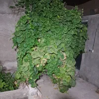 واحد اجاره  مطهری 9