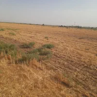 نیازمند  سرمایه‌گذاری در کشاورز ی