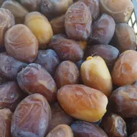 رطب تازه