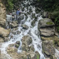 تورو گردشگری مجانی