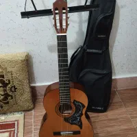 گیتار به همراه کیف