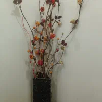 لوازم خانه|مجسمه، تندیس، ماکت|بیرجند, |دیوار