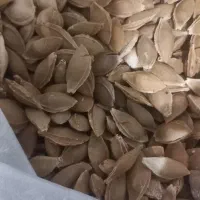 هسته زردالو شیرین