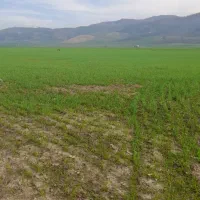 فروش-یک-هکتار-زمین-برزمین-اتوبان-مینودشت-و-آزادشهر