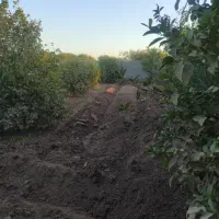 1006متر-باغ-بعداز-لک-لک-ها