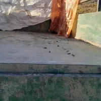 سلام فروشی|ماشینآلات صنعتی|سنندج, |دیوار