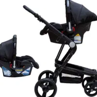 سرویس کالسکه دلیجان