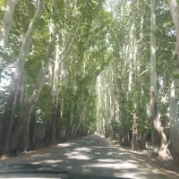 باغچه-کاسبی-کردان-تهراندشت-سرخاب